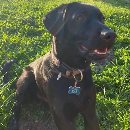 Pietro Na Wp 7- 3 W Domu Jednorodzinnym Świnoujście