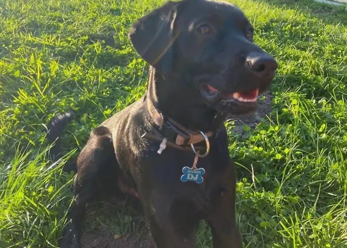 Pietro Na Wp 7- 3 W Domu Jednorodzinnym Svinoústí